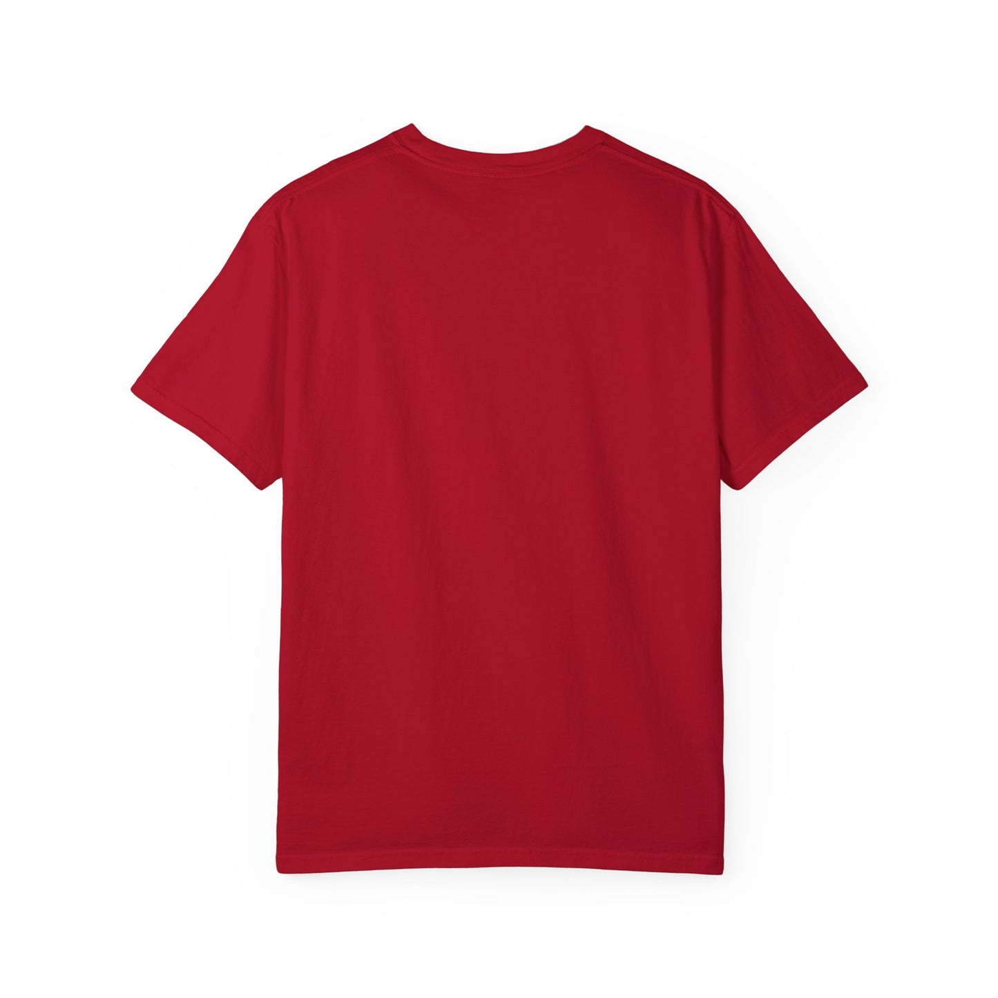REJECT Tee made with She-Jects favorite brand COMFORT COLORS! So comfy!